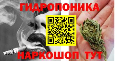 прущие грибы Гусиноозёрск