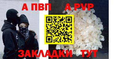 прущие грибы Гусиноозёрск