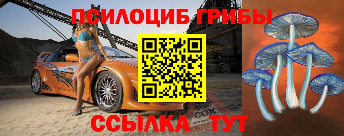 Медногорск  Псилоцибиновые грибы прущие грибы  Вход с VPN  Псилоцибиновые грибы Magic Shrooms 
